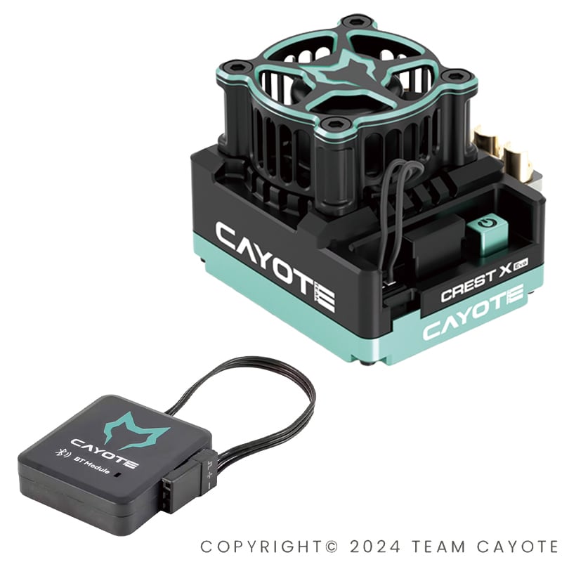 Team CAYOTE | ZEROTRIBE WEBSHOP