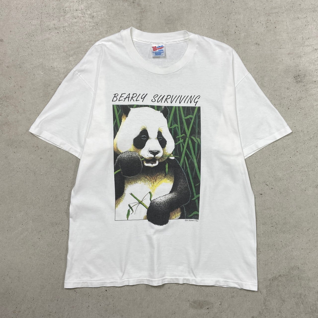 90年代 Human-i-Tees パンダ アニマル プリント Tシャツ メンズL 古着 