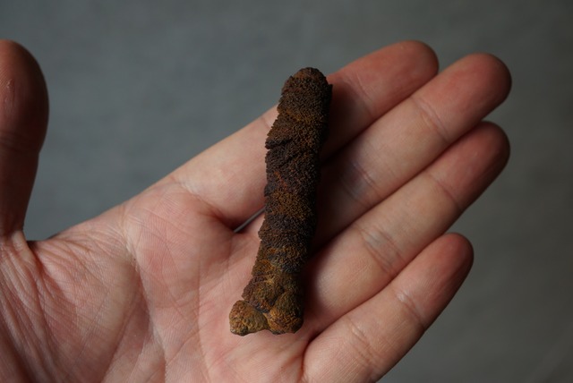 リモナイト Goethite var. Limonite 1553