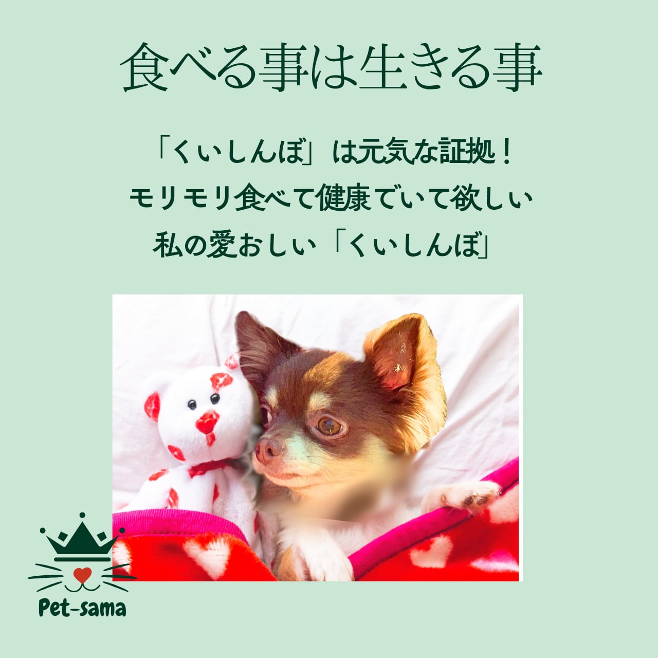 息和(そくわ)猪肺臓ジャーキー 15g×2袋 ジビエジャーキー くいしんぼペットさまのジビエフード