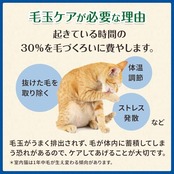 Greenies グリニーズ 猫用 毛玉ケア ツナ味 90g 猫用スナック おやつ 総合栄養食 毛玉を吐く 食物繊維 主原料100%自然素材