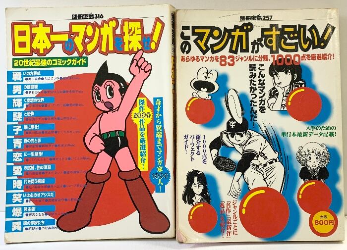美術館グッズ【479】〔展覧会図録〕 マウリッツハイス美術館展 美術館グッズ【479】〔展覧会図録〕 マウリッツハイス美術館展
