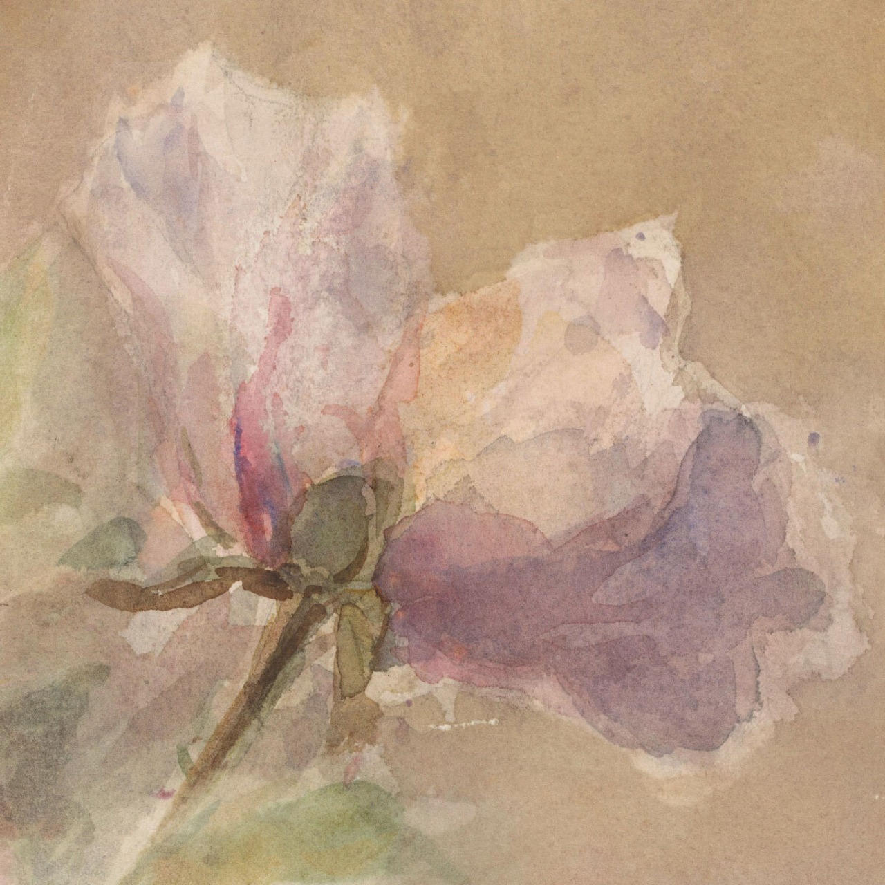[額縁付き] Verwelkte roos 熟した薔薇 アートポスター 223×223mm 天然木 ポスターフレーム 木製 絵画 日本製 APFS101 - 8