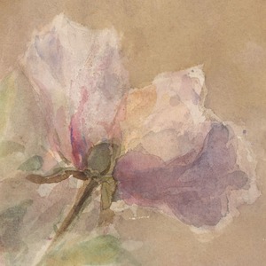 [額縁付き] Verwelkte roos 熟した薔薇 アートポスター 223×223mm 天然木 ポスターフレーム 木製 絵画 日本製 APFS101