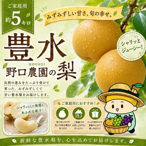◻️ご家庭用 豊水約5kg