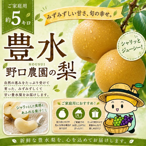◻️ご家庭用 豊水約5kg
