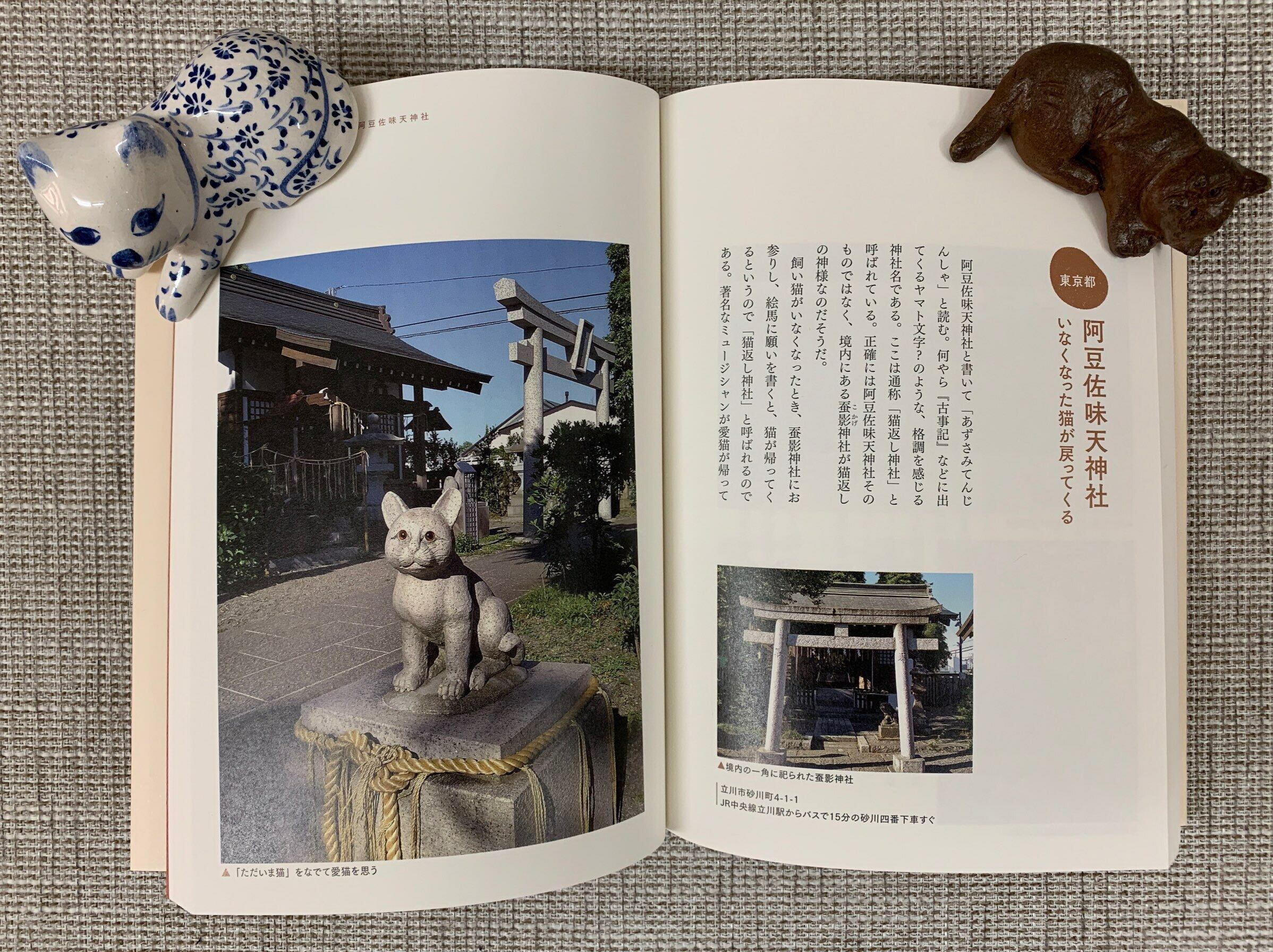 猫神さま日和（単行本） | 猫本サロン 京都三条サクラヤ