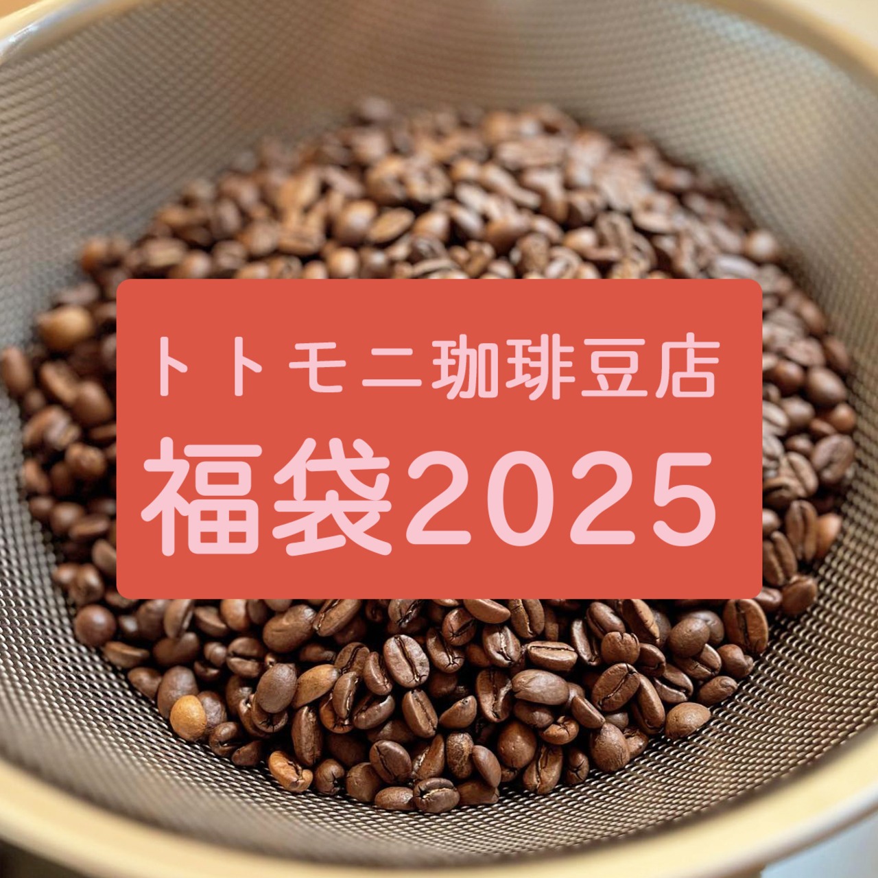【1000円】トトモニ福袋 2025【コーヒー豆】