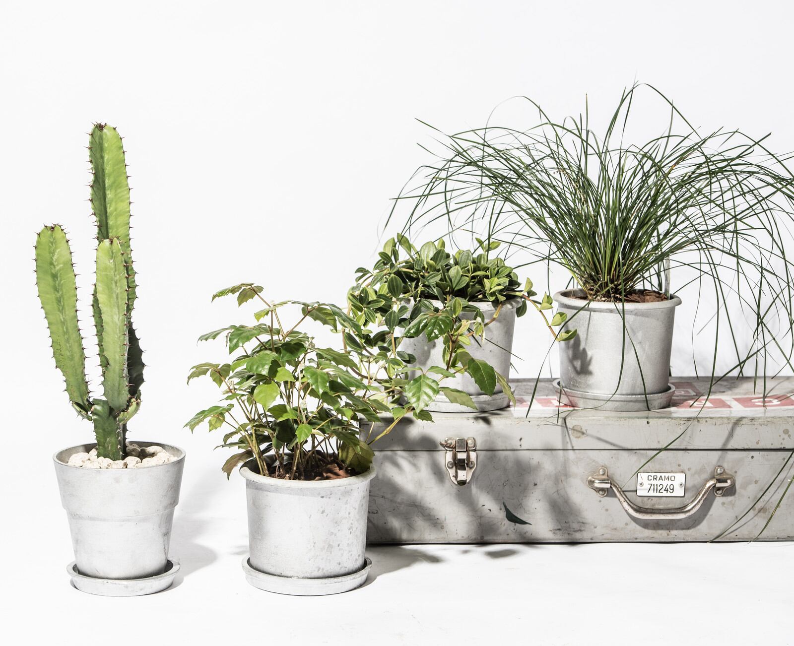 REPAIR 'N MAINTENANCE アルミ鉢 SOLID POT 90 | PUKUBOOK