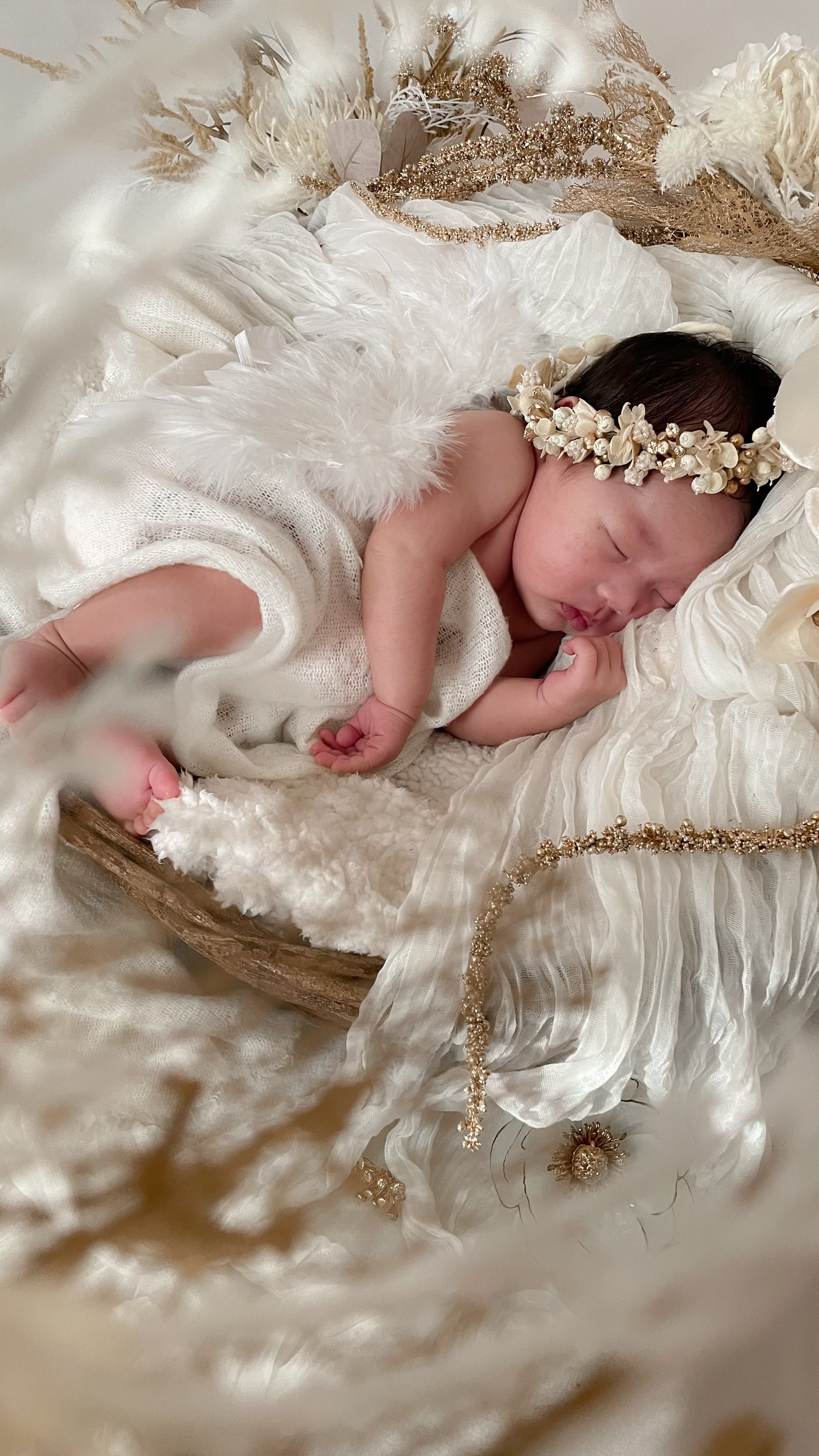 ハーフリース 12 twinkle angel ニューボーンフォトレンタルset