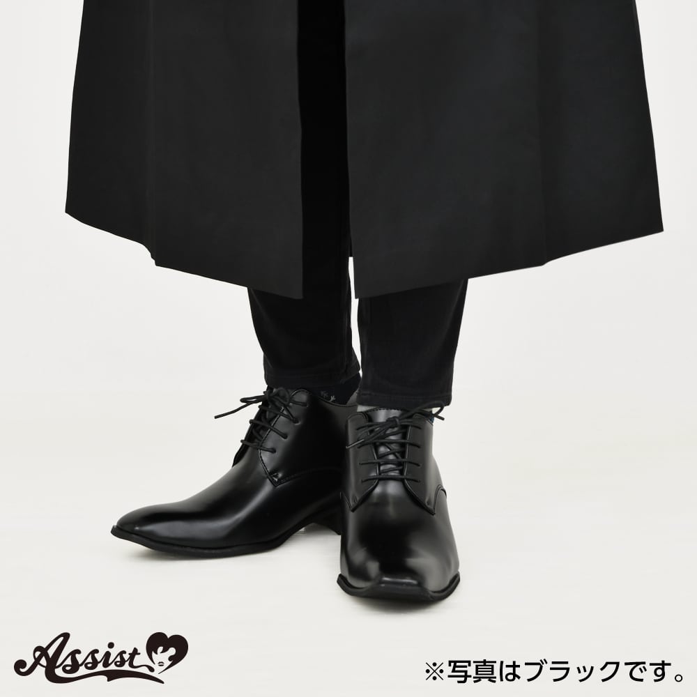 アシストウィッグ【シークレットビジネスシューズ クイーンサイズ