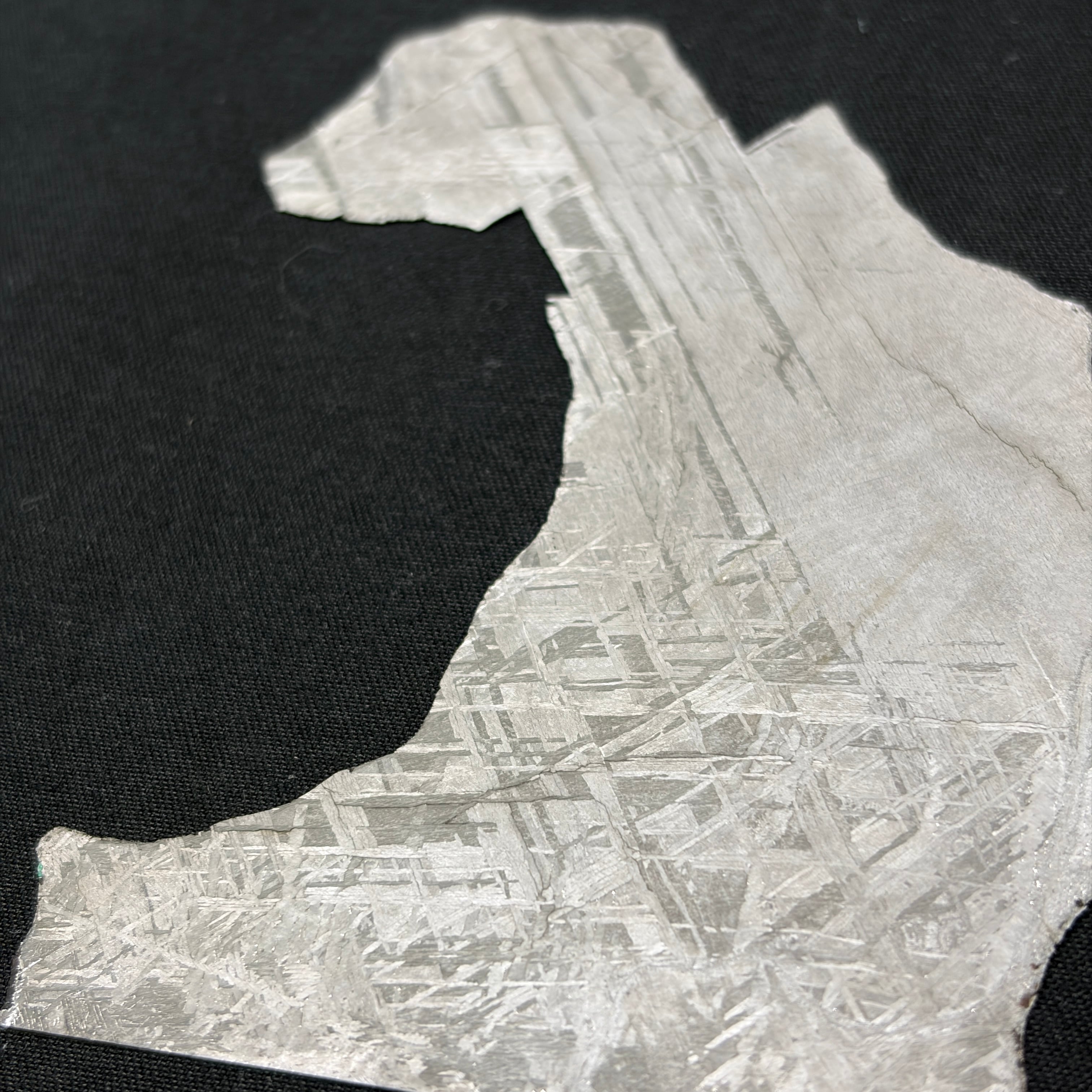 隕石絵画】ギベオン隕石 Gibeon Meteorite 26032003 | 【隕石屋