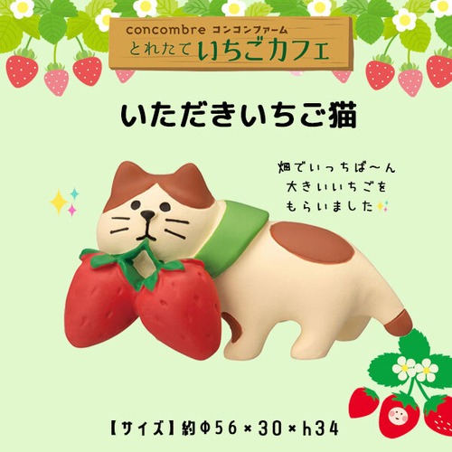 コンコンブル いちごカフェ いただきいちご猫