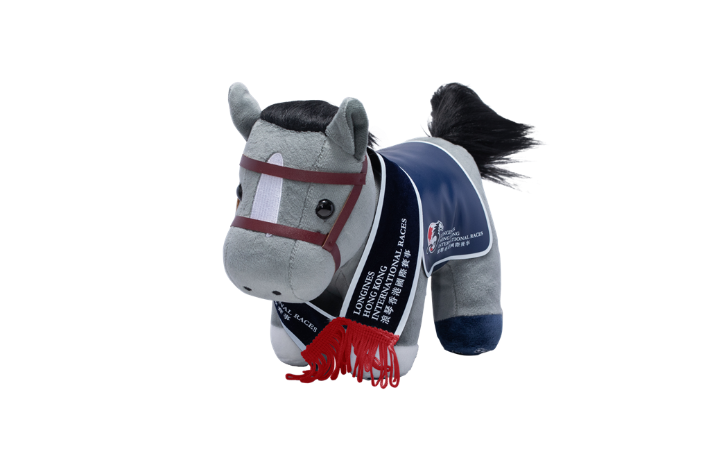 AVANTI Sサイズ インディジェナス 香港年度代表馬 AVANTI Sサイズ