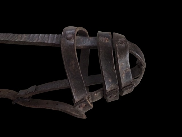 muselière pour chien