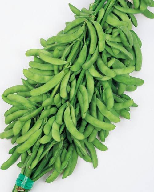 エダマメ「とびきり」（１L） 画像