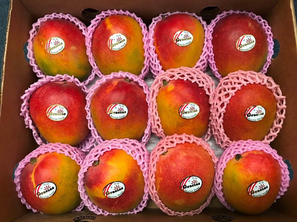 産地箱でお得 ３ｌ ４ｌ特大 １２個 グラシアスマンゴー ペルー産ケント種 送料込 レインボーフレッシュ