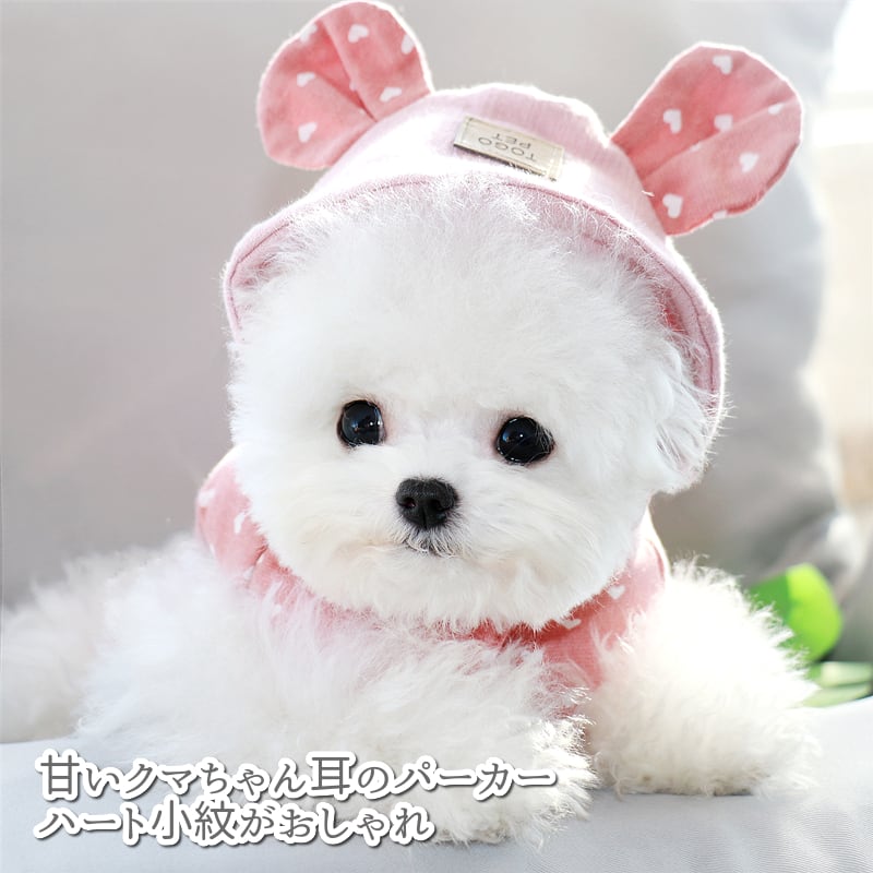 犬服 S わんこの普段着ブラウンローズ | ヤマダウェブコム
