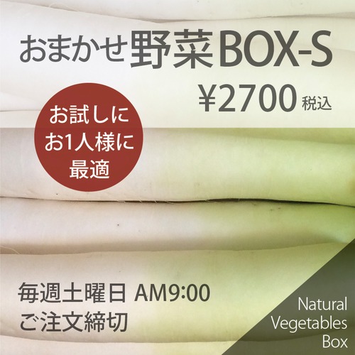 おまかせ野菜BOX - Sサイズ