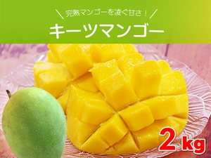 キーツマンゴー約2キロ（2玉～3玉） 沖縄県産 完熟マンゴーを凌ぐ甘さ