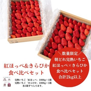 【食べ比べパック】濃甘いちご紅ほっぺ・きらぴか合計2kg以上 ※2月中でのお届け【クール便】