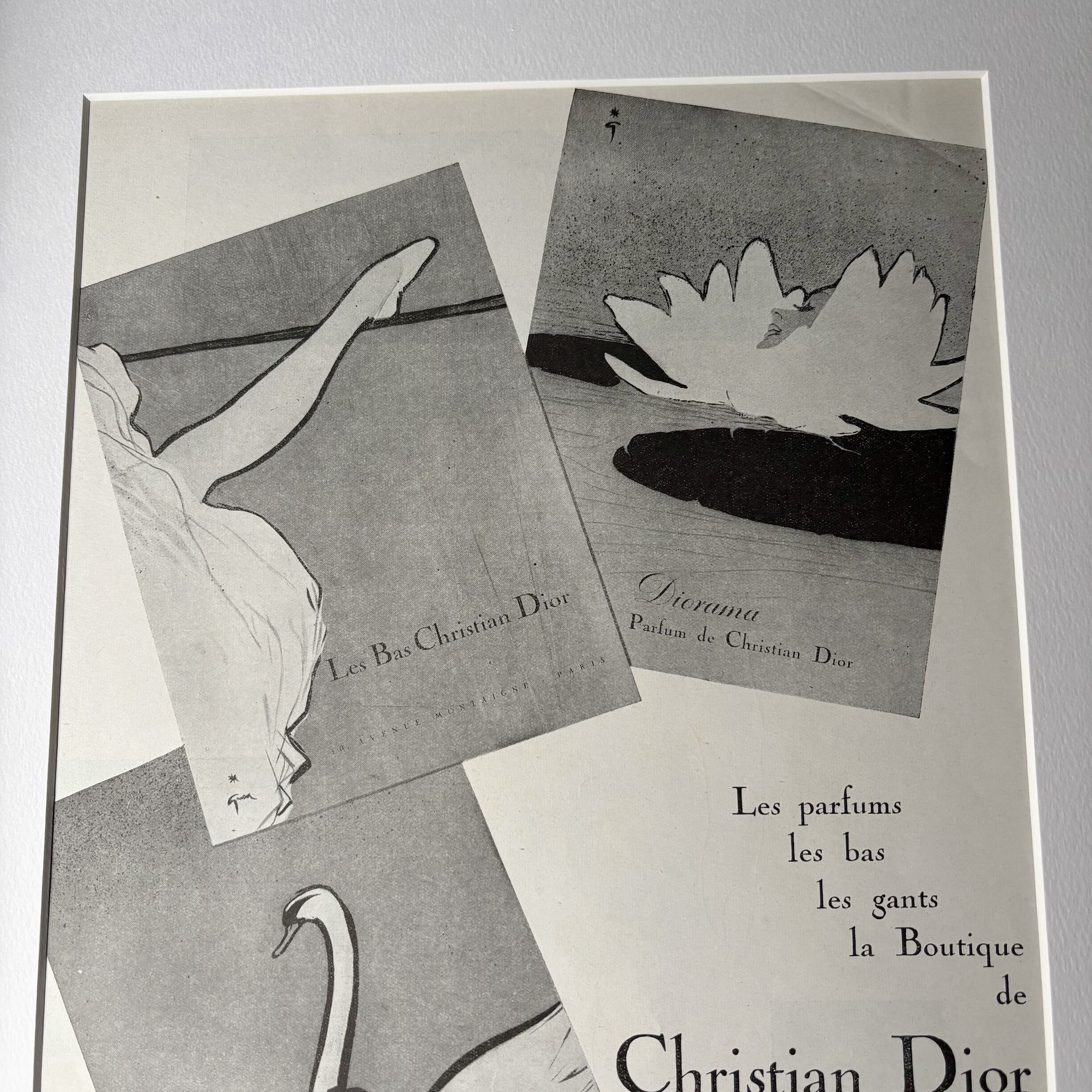 1952 広告＞Christian Dior Rene Gruau ディオール ルネ・グリュオ