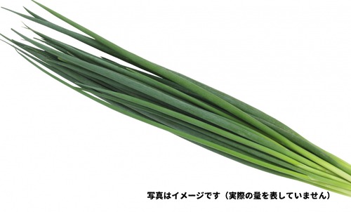 青ネギ