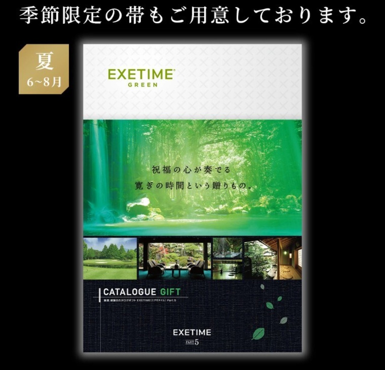 エグゼタイム GOLD 50600円コース（2年期限版）