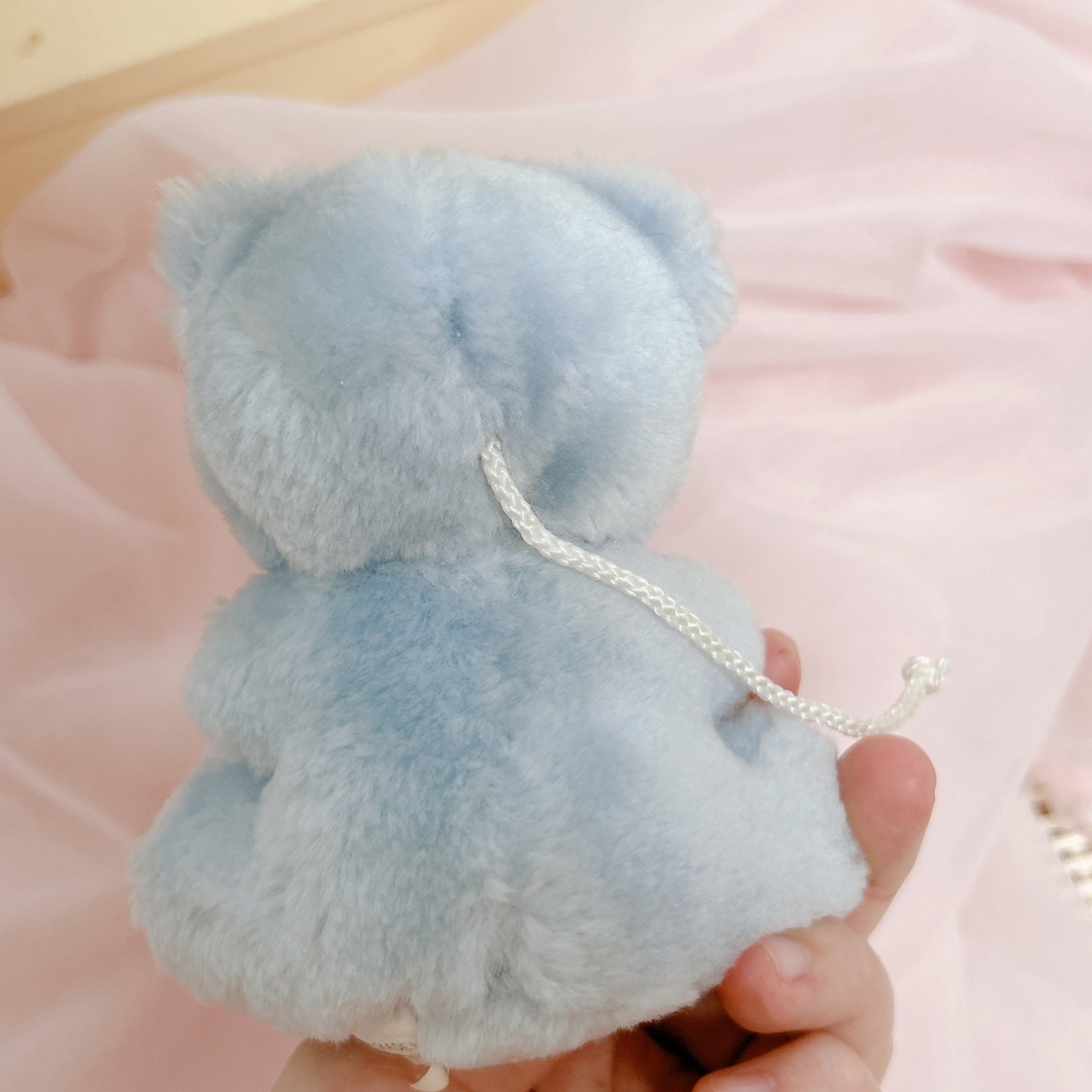 Pastel kumaの画像04