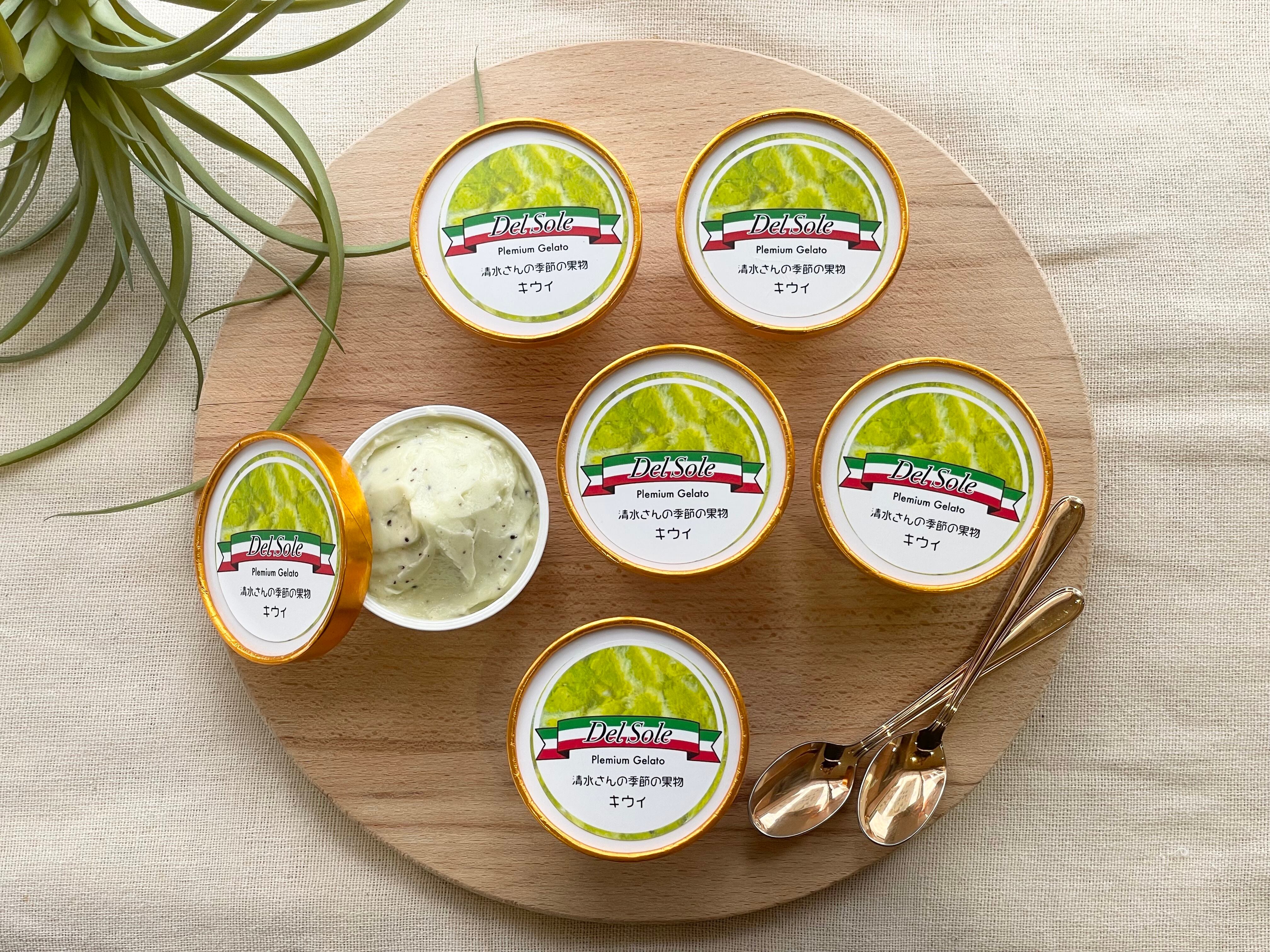 キウイ ジェラート 【6個入り】 | Del Sole