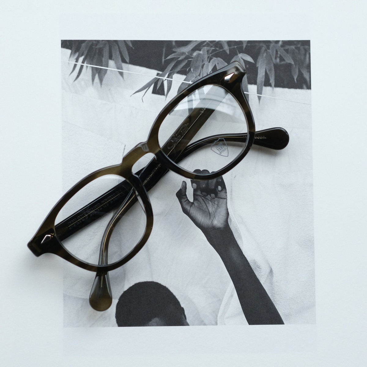 JULIUS TART OPTICAL】AR 48□22 - Olive Green Sasa (LARGE) | SEESAW 
