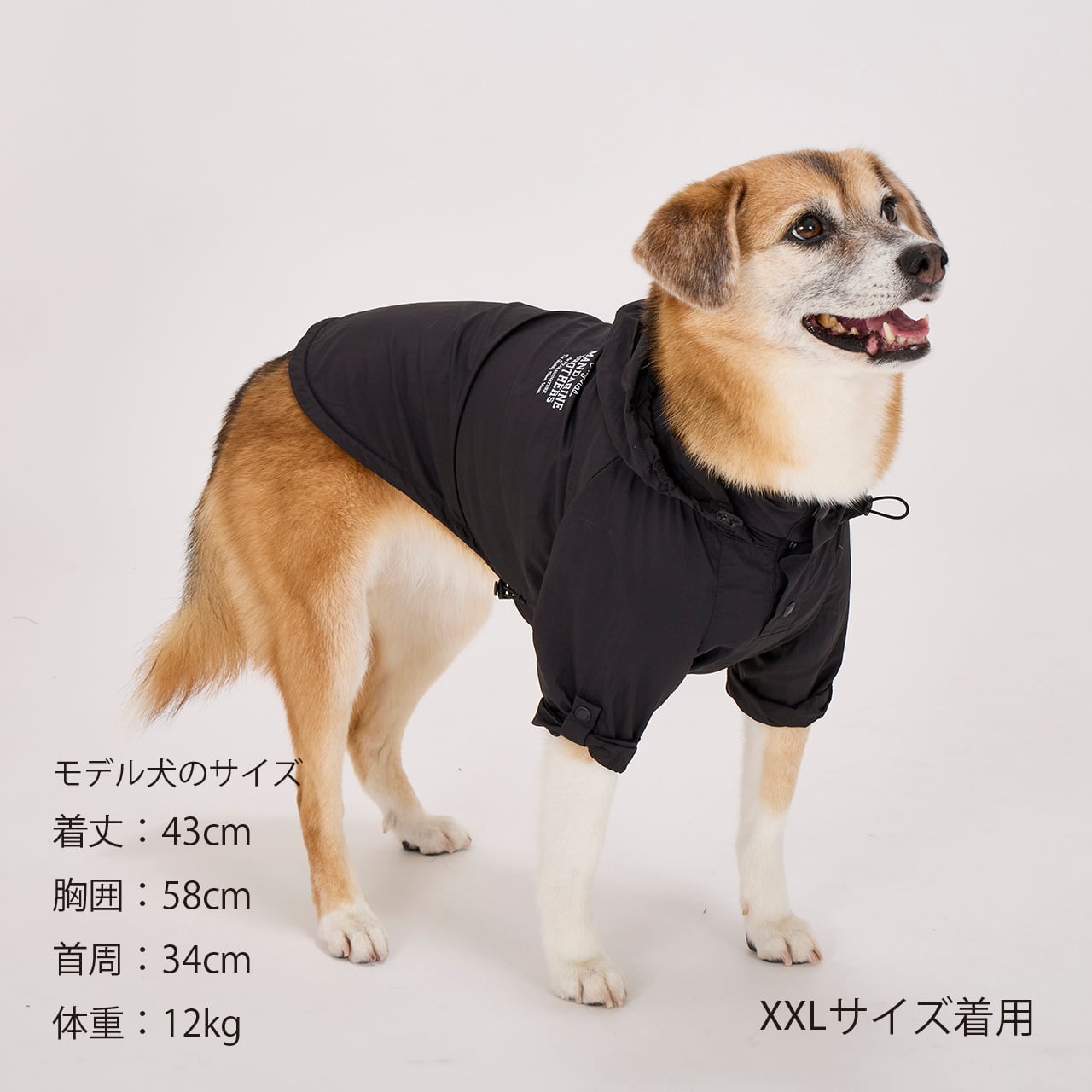 Arktis 折りたたみ式ウインドブレーカー　Mサイズ Arktis 折りたたみ式ウインドブレーカー Mサイズ - メルカリ