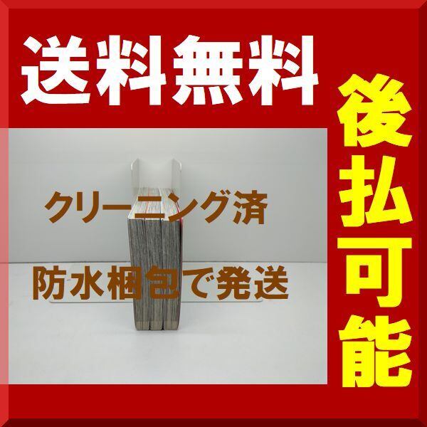 女のコがHなマンガ描いちゃダメですか ジェームスほたて [1-3巻 漫画