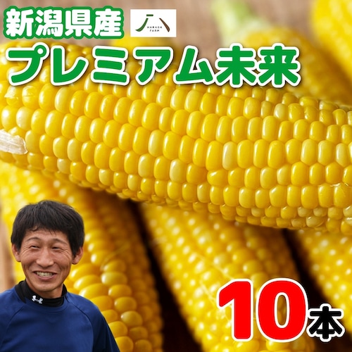 新潟県産 原田農園 とうもろこし 10本 プレミアム未来 新潟県産 送料無料 お中元 御中元 夏 ギフト プレゼント トウモロコシ 玉蜀黍 甘い 生 新鮮 スイートコーン コーン お取り寄せ 新潟 ご当地 特産 産地直送 農家直送