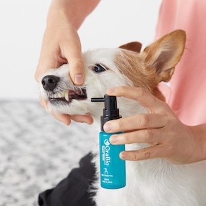 OraBio リペアウォーター50ml（マウススプレー）犬猫用