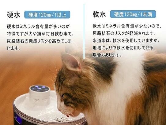 ワンにゃん＆水素水 ペット用水素自動給水器 スマホ コントロール 犬 猫 水 留守 水入れ 食器 超小型犬 小型犬 お手入れカンタン 清潔 室内犬  室内猫 ペット 世界初 飲み水 軟水 水素 給水器 新鮮 長時間 健康 軟水素水 旅行 持ち運び 安心 病気 対策 高耐久性 |