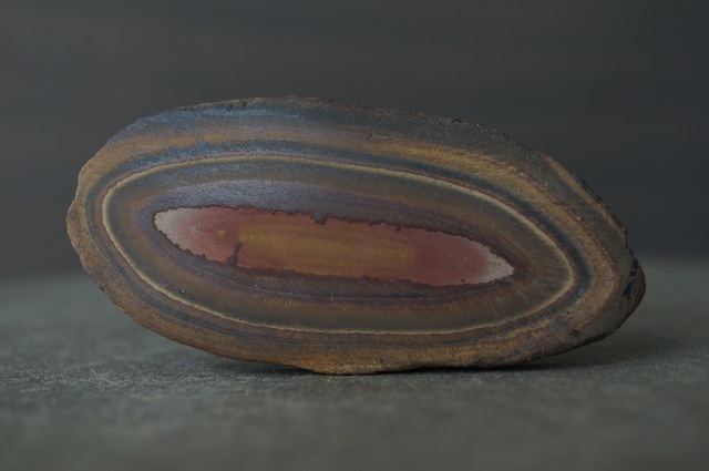 モロッコ産ストロマトライト Stromatolite 2213