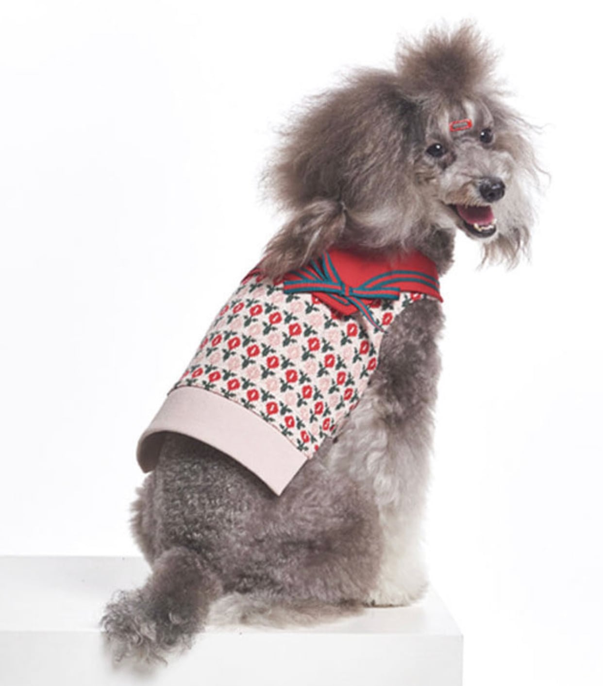 tulip button knit S ~ 2XL  /  犬服 秋冬 新作 可愛い 犬の服 ニット ドッグウェア 花柄 お揃い 袖なし カーディガン ベスト b40