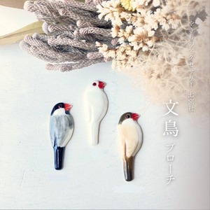 文鳥 ブローチ