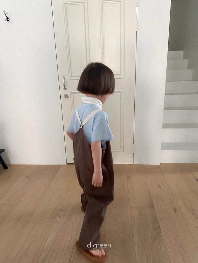 〘予約〙digreen / nova overalls