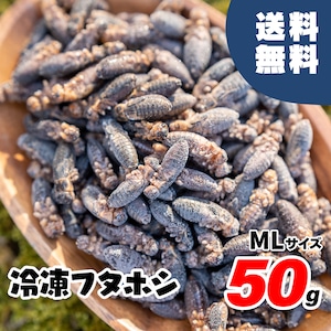 ML 50g(約100匹) 2cm前後 冷凍フタホシコオロギ