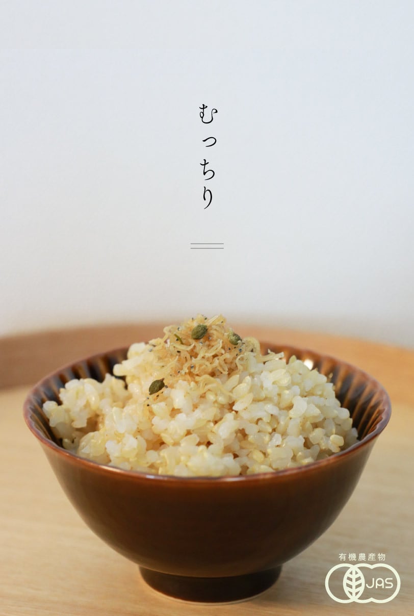 お試し定期配送】にこまる（玄米）2kg×2袋｜滋賀県竜王町産｜五ッ星お