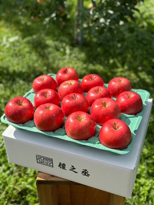 葉取らず早生ふじ家庭用　5kg