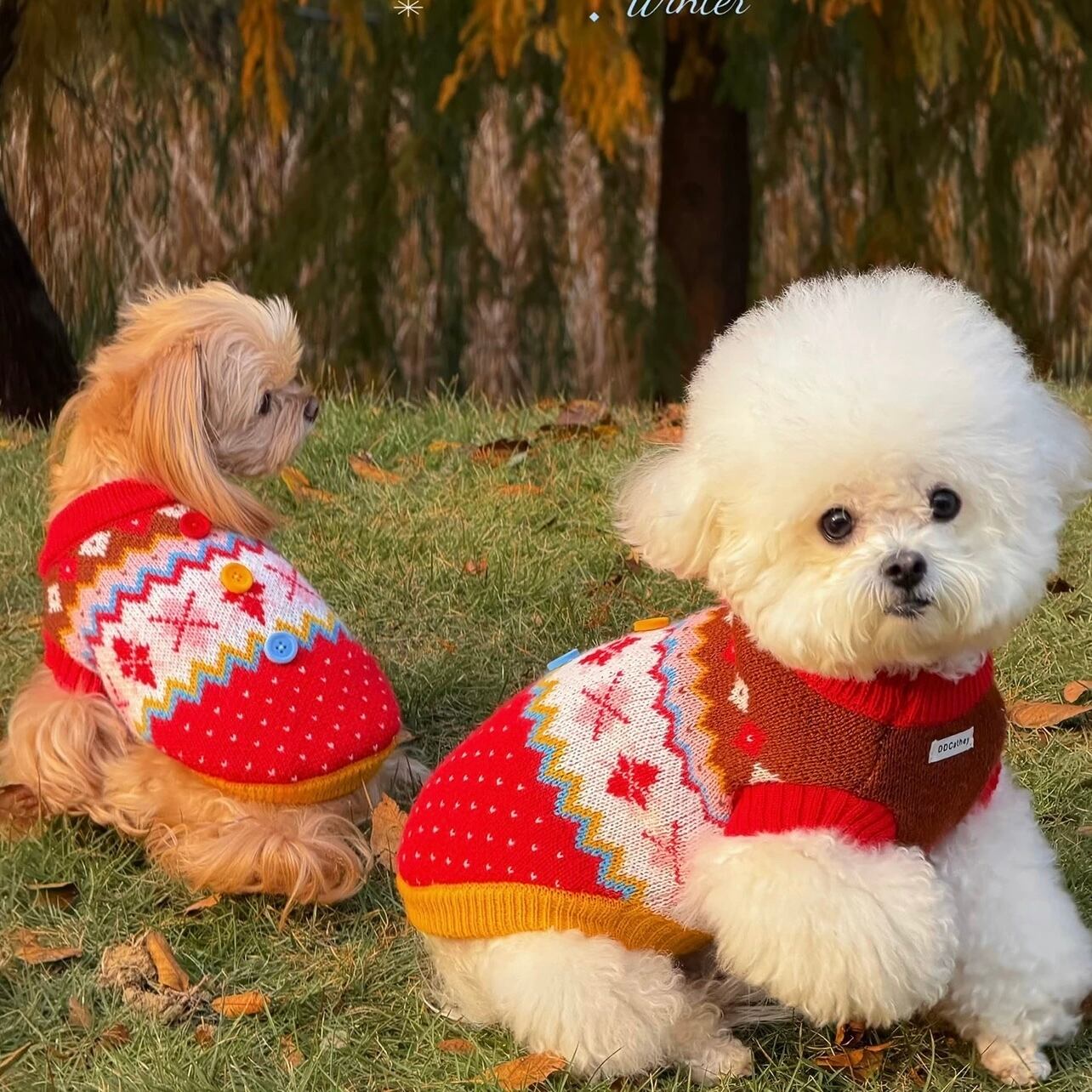 knit | haenim dog shop