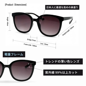 ＃AIRGRAM / GOLF＆CITY サングラス /（形：ビッグシェイプ　色：ブラック　レンズ：スモークハーフー) / TPGC-9259-1