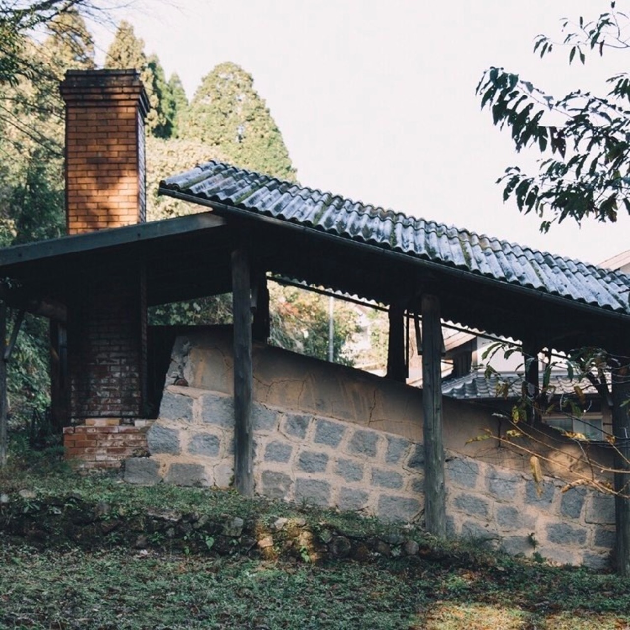 鶯青磁サラダボウル