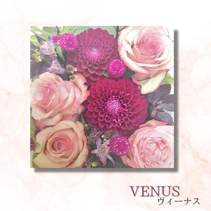 【300角巻込・突板仕上げ】VENUS ヴィーナス