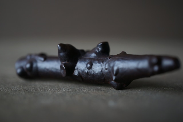 エジプト産リモナイト Goethite var. Limonite 1903