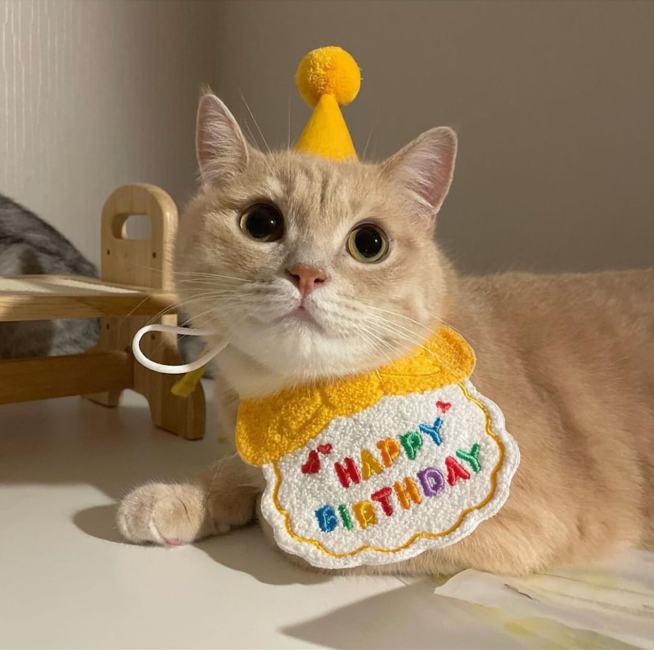 只今入荷待ち！！よだれかけ前掛け　お誕生日Happy Birthday帽子付き バースデーセット 誕生日グッズ ペットグッズ 撮影用 誕生日 スタイ