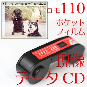 [現像+データ]【ロモ110】ロモグラフィー製フィルム対象 LOMOMATIC110対応 ※peacock不可 #ワンテン #ポケットカメラ #ポケットフィルム カラーネガ110mmフィルム フィルム耳付きスキャン #パーフォレーション  #フィルミミ #フィルム写真 #現像